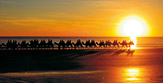 Egypt - Hurghada