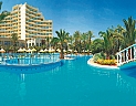 Riadh Palms
