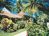 Chaweng Resort
