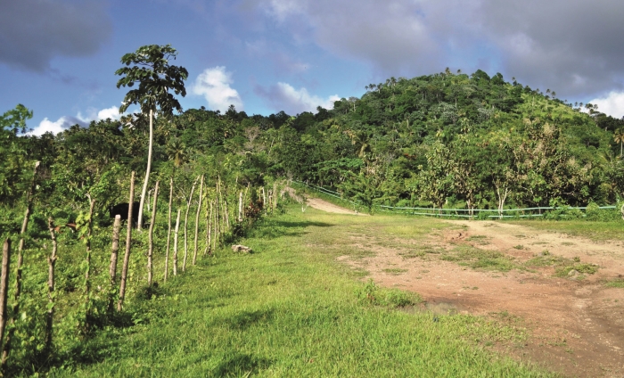 DominikanskaRep-Velka-cast-ostrova-Hispaniola-je-pokryta-zelenymi-lesmi.jpg