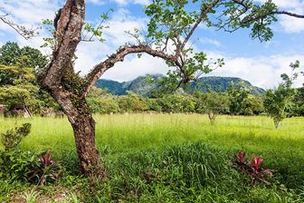 El Valle de Anton