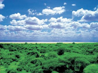 Krásná krajina v okolí jezera Manyara v Tanzánii
