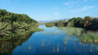 Albufera