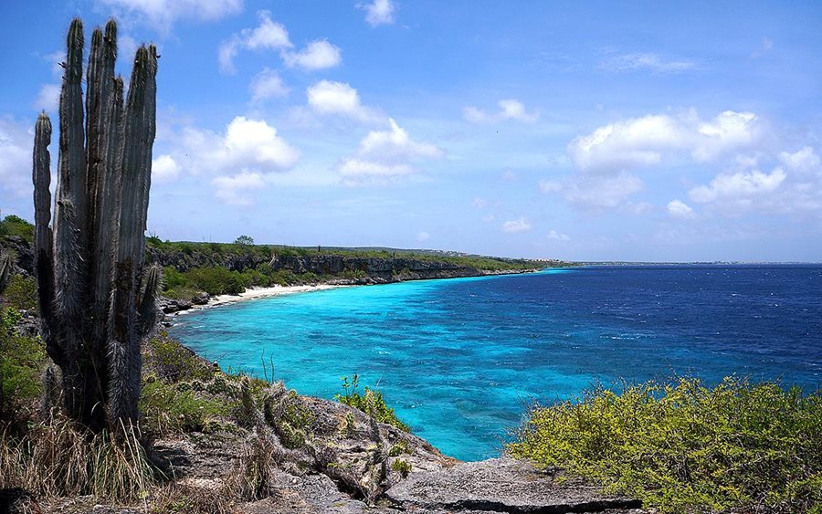 Holandské Antily, Bonaire Holandské Antily, Bonaire