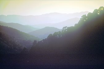 Ronda Paisaje