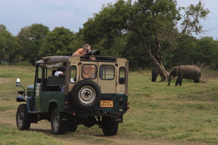 Sri-Lanka-Ockovat-pred-dovolenou-na-Sri-Lance-se-nemusite,-radeji-si-uzijte-safari.jpg