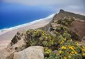Fuerteventura, Pico del Zarza Fuerteventura, Pico del Zarza