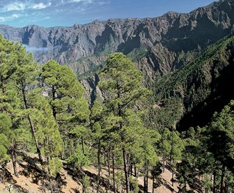 La Palma Caldera de Taburiente