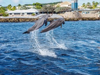 Aquarium Curaçao