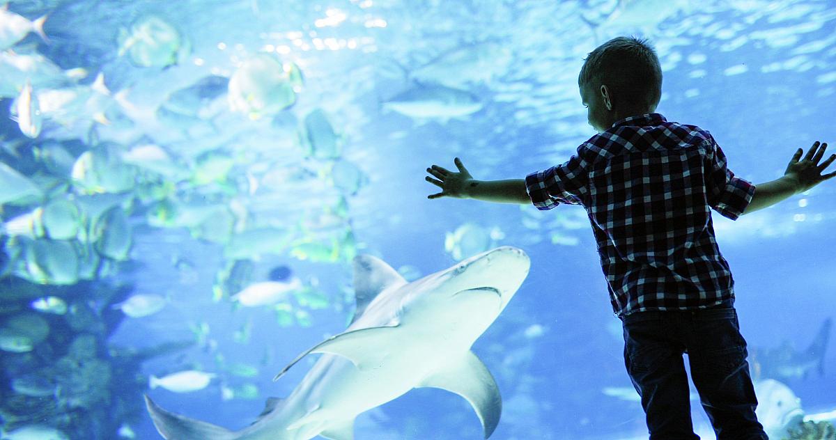 Palma Aquarium Palma Aquarium
