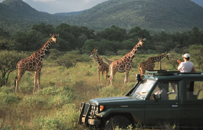 K-hlavnim-atrakcim-Tanzanie-patri-safari-uprostred-divociny.jpg
