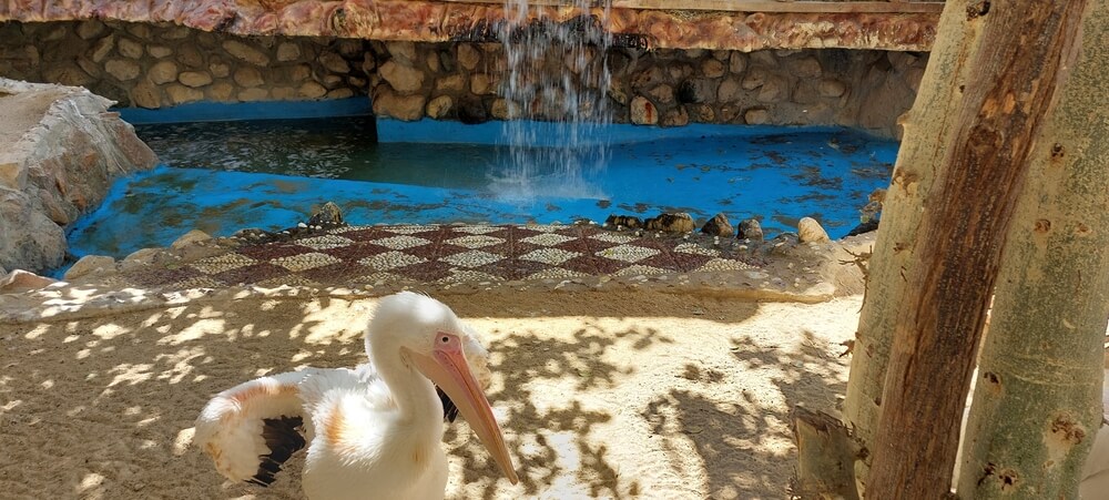Grand Aquarium Hurghada