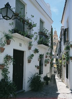 Cordoba Casa de las Flores