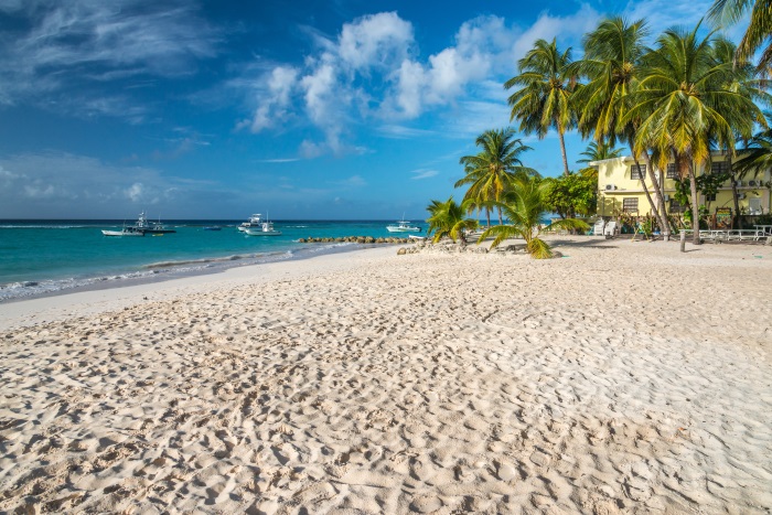 Plaze-Barbados-4.jpg
