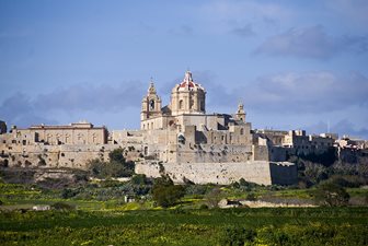 Mdina from outside by Mario Galea