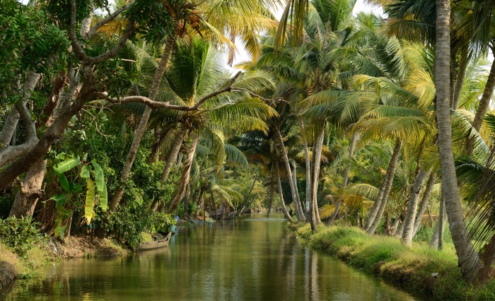Tropické lesy
