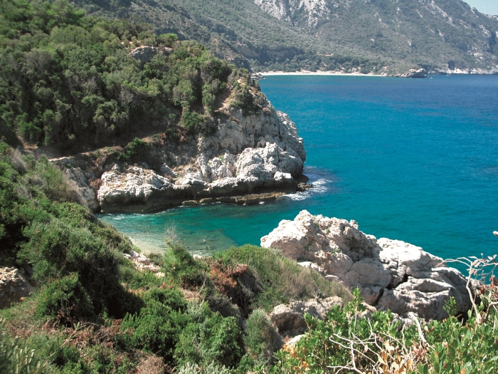 Grecko-0-Typicka-stredomorska-flora-greckych-ostrovov.jpg