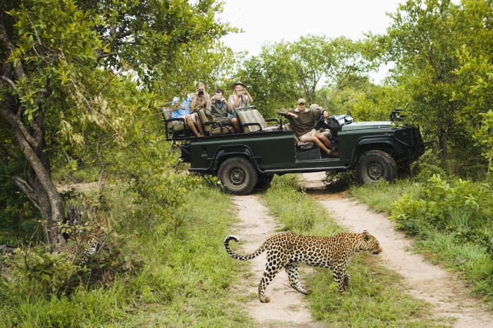 Sri-Lanka-Leopard-patri-k-vzacnym-zivocichom-na-Sri-Lanke.jpg