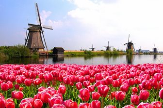 Nizozemsko, mlýny, kanály a tulipány