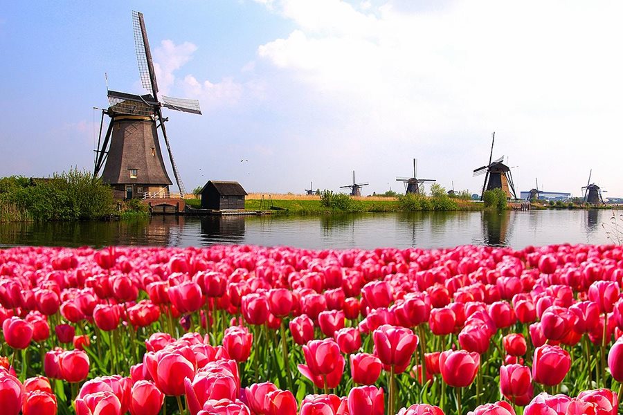 Nizozemsko, mlýny, kanály a tulipány Nizozemsko, mlýny, kanály a tulipány