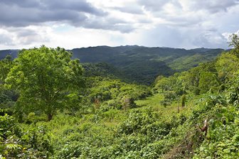 Blue Mountain Peak