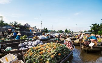 Mekong Delta