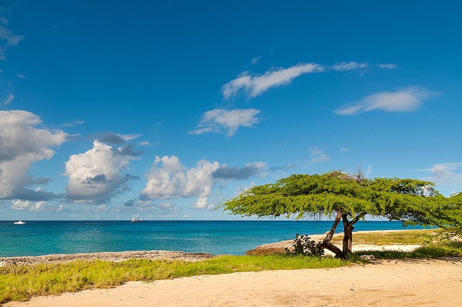 Aruba Aruba