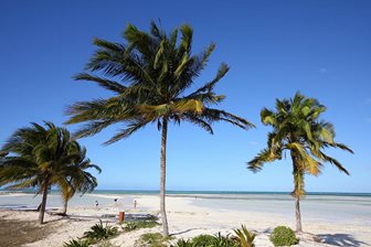 Cayo Coco a Cayo Guillermo