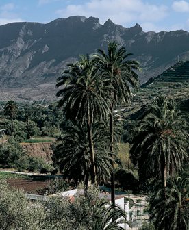 Gran Canaria Valle de Agaete