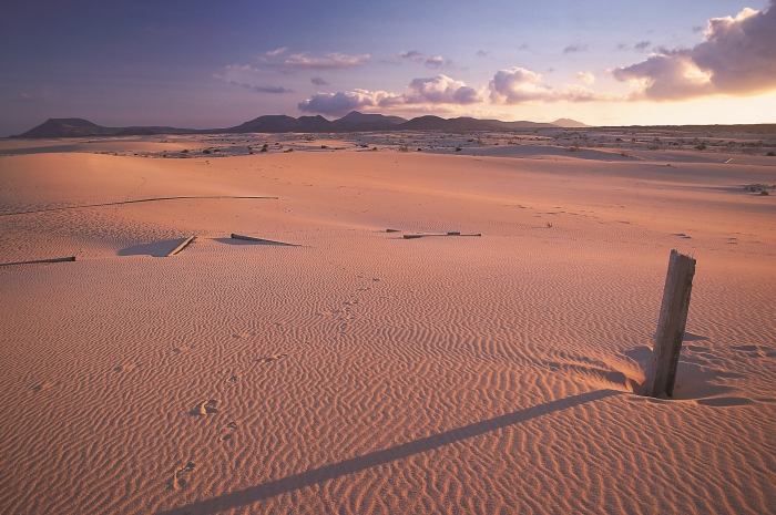 Spanielsko-04-Fuerteventura-Duny-v-rezervacii-El-Jable-na-Fuerteventure.jpg