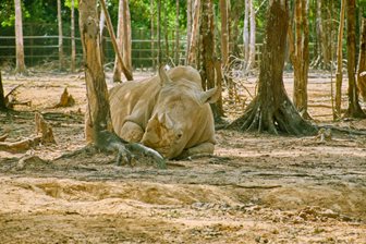 Safari Phu Quoc