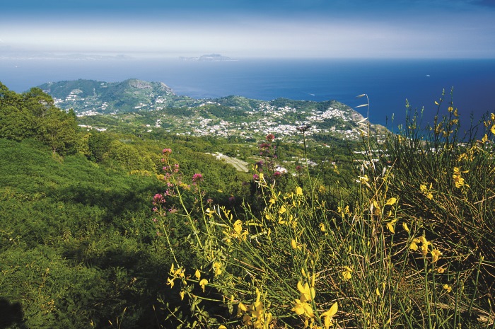 Ischia-Pohlad-na-Ischiu-z-najvyssej-hory-Monte-Epomeo.jpg