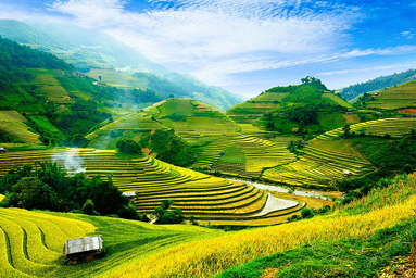 Vietnam, ryžové terasy