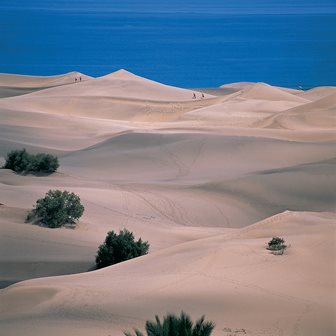 Gran Canaria Dunas de Maspalomas