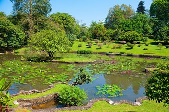 Královská botanická zahrada Peradeniya v Kandy