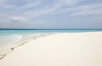 Prison Island na Zanzibaru