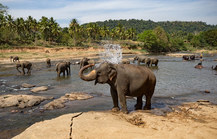 Sri-Lanka-Uzijte-dovolenou-na-Sri-Lance-bez-problemu.jpg