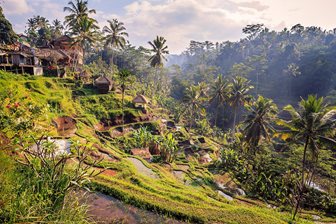 Ubud, okolí