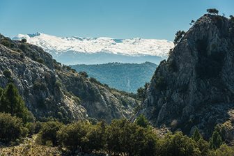 Sierra Nevada