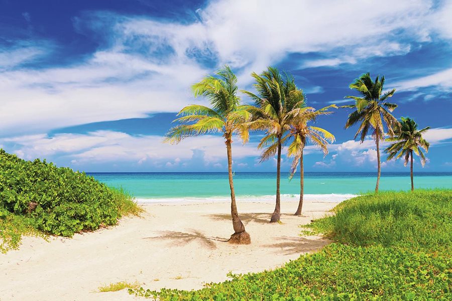 Cayo Santa María Cayo Santa María