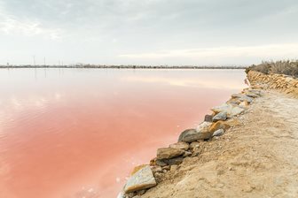 Las Salinas de San Pedro del Pinatar