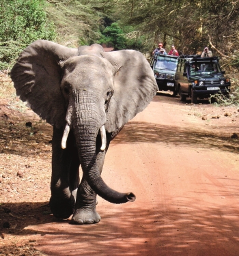 Nejoblibenejsim-dopravnim-prostredkem-v-Tanzanii-jsou-terenni-vozy-vyuzivane-zvlaste-pro-safari.jpg